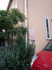 R0023064.jpg