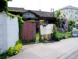 R0018874.jpg