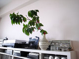 R0018892.jpg