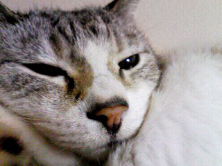 090605=2237~002.jpg