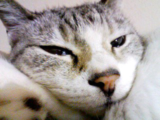 090605=2237~003.jpg