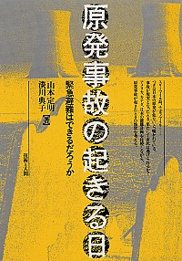 原発事故の起きる日―緊急避難はできるだろうか [単行本]　山本 定明 (著), 淡川 典子 (著) 